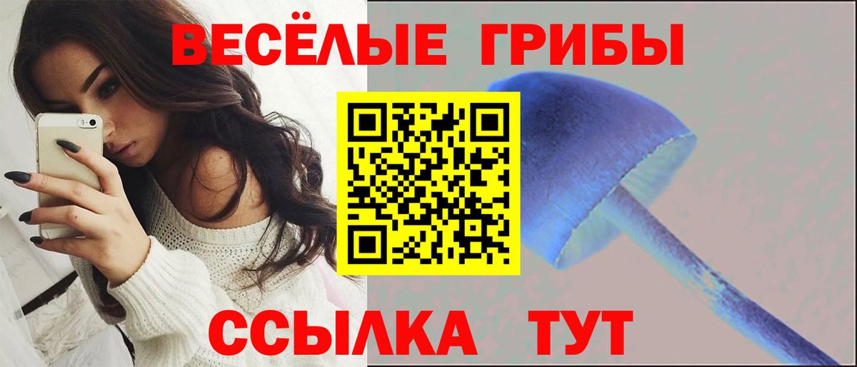 Горно-Алтайск  Псилоцибиновые грибы Magic Shrooms  Псилоцибиновые грибы GOLDEN TEACHER  купить наркоту  Вход с VPN 