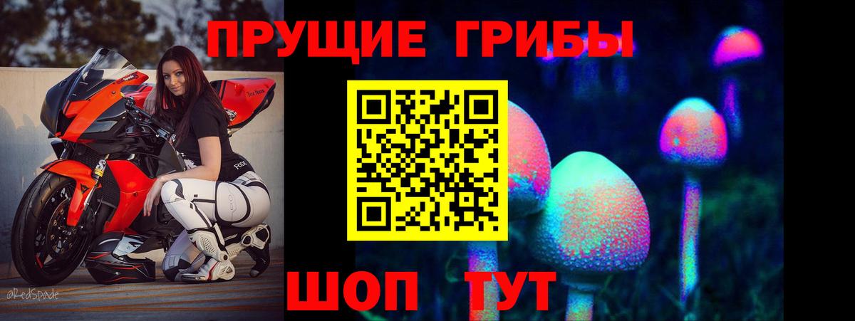 Галлюциногенные грибы Cubensis Горно-Алтайск